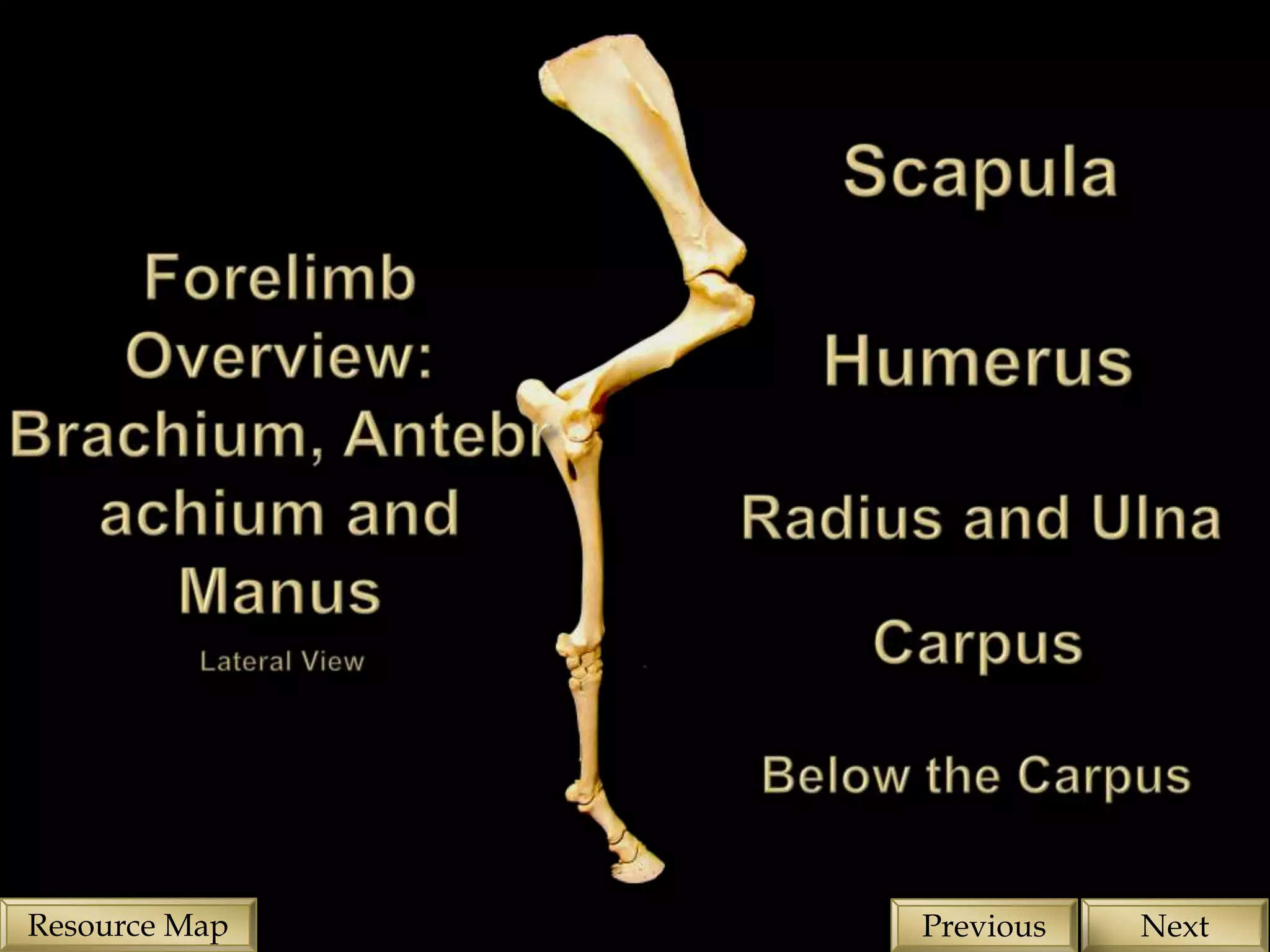 Resource Map   Previous   Next
 