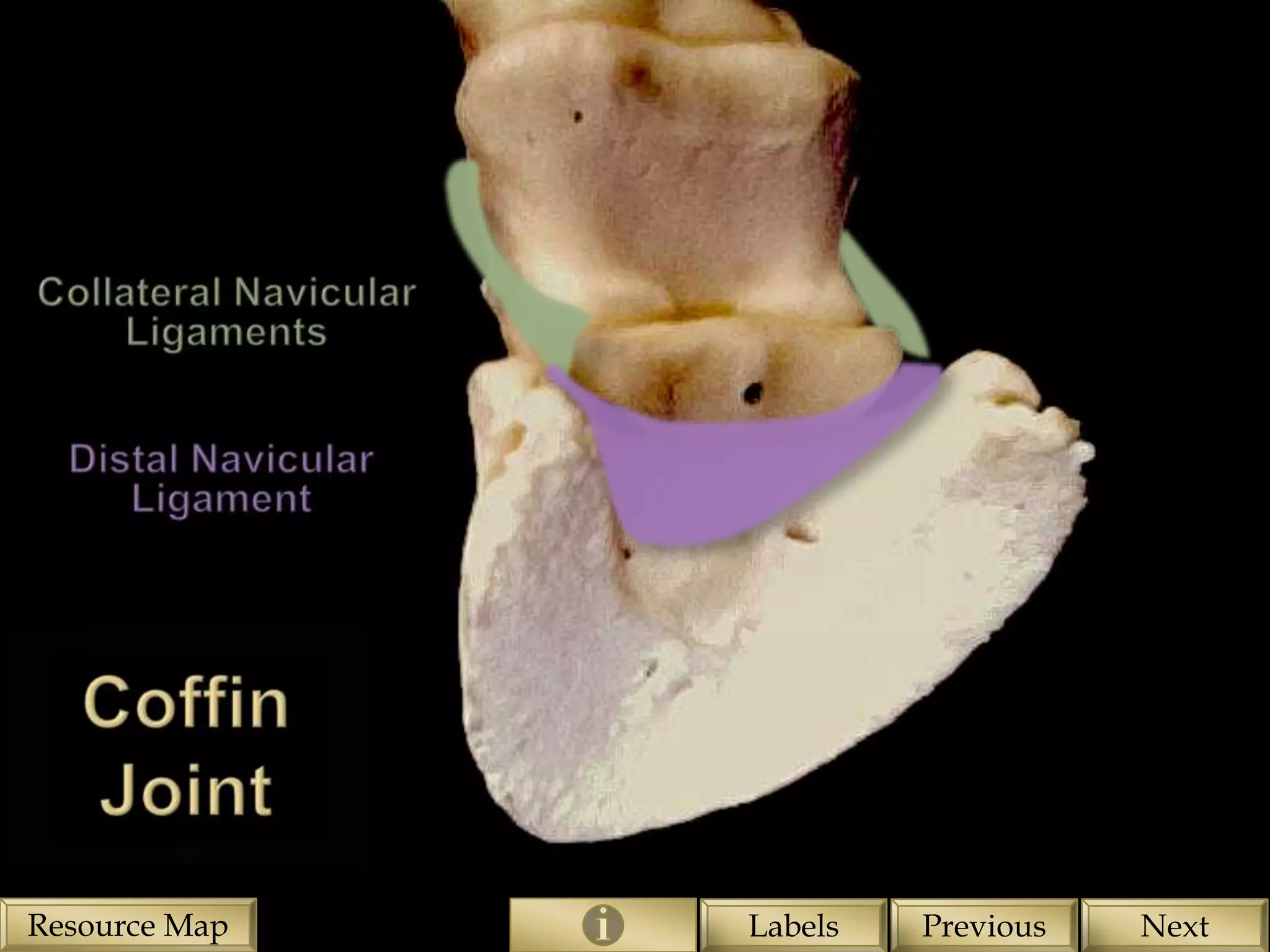 Resource Map   Labels   Previous   Next
 