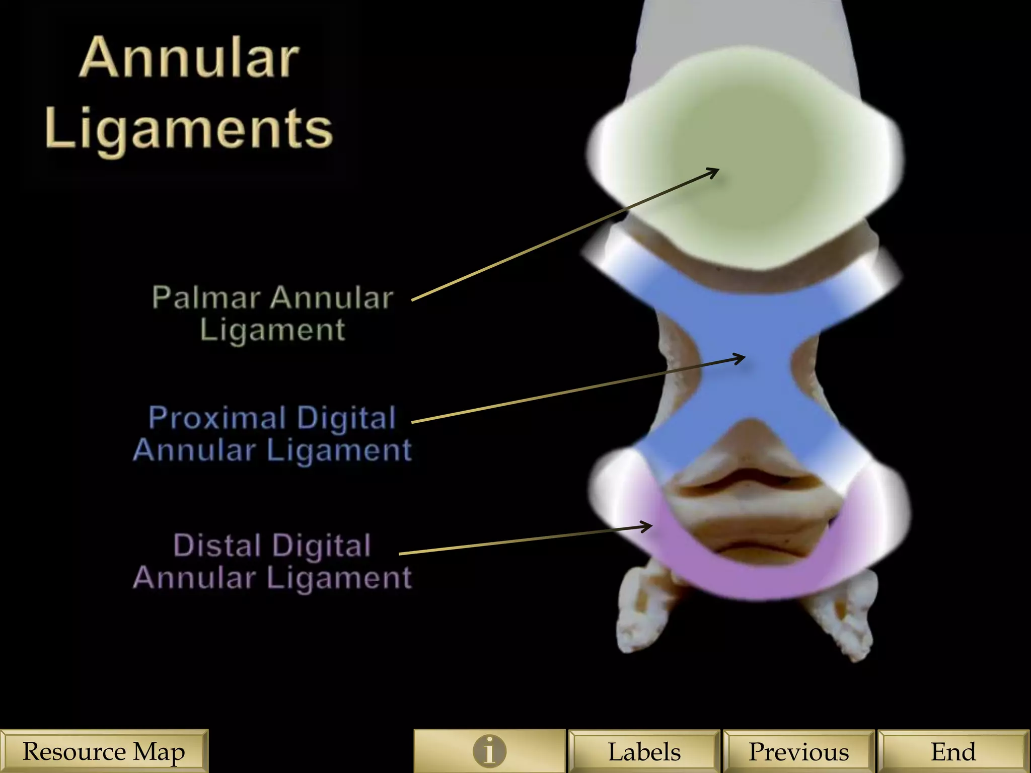 Resource Map   Labels   Previous   End
 