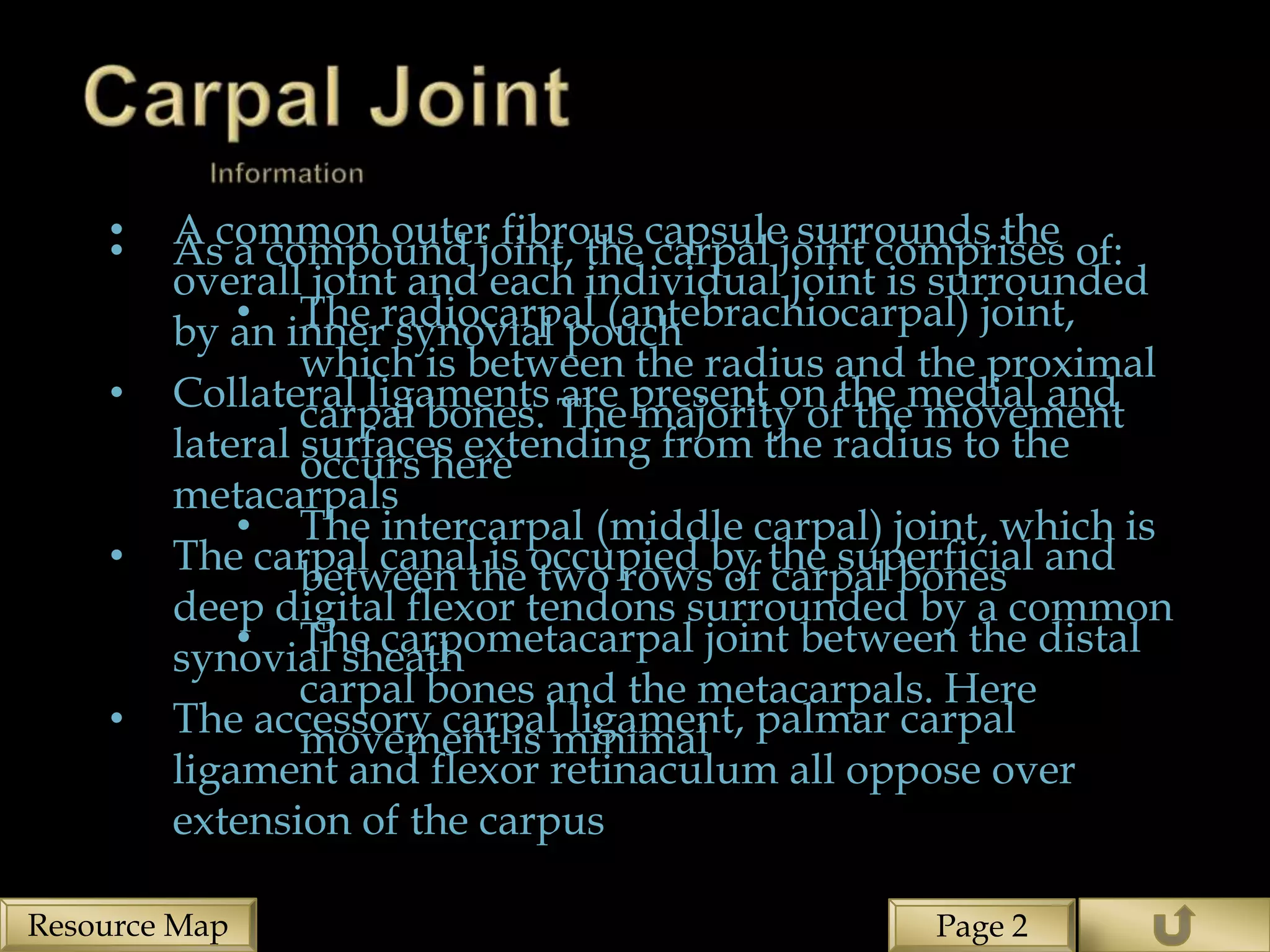 •
    •   A common outer fibrous capsulejoint comprises of:
        As a compound joint, the carpal surrounds the
        overall joint and each individual joint is surrounded
        by an innerradiocarpal (antebrachiocarpal) joint,
            • The synovial pouch
                which is between the radius and the proximal
    •   Collateral ligaments The present on the medial and
                carpal bones. are majority of the movement
        lateral occurs here
                surfaces extending from the radius to the
        metacarpals
            • The intercarpal (middle carpal) joint, which is
    •   The carpal canal is occupied by the superficial and
                between the two rows of carpal bones
        deep digital flexor tendons surrounded by a common
            • The carpometacarpal joint between the distal
        synovial sheath
                carpal bones and the metacarpals. Here
    •   The accessory carpalminimal palmar carpal
                movement is ligament,
        ligament and flexor retinaculum all oppose over
        extension of the carpus

Resource Map                                    Page 2
 