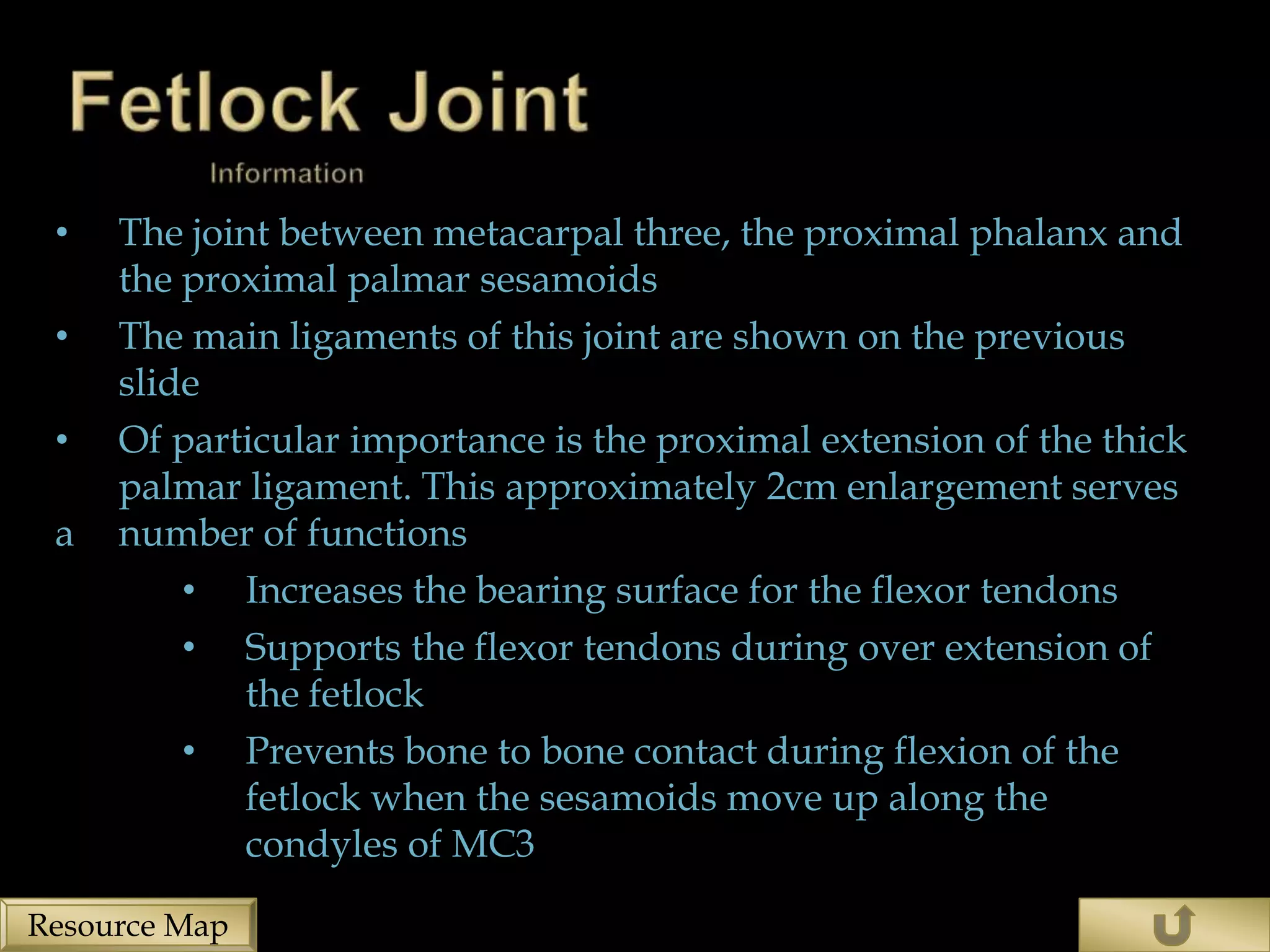 •   The joint between metacarpal three, the proximal phalanx and
     the proximal palmar sesamoids
 •   The main ligaments of this joint are shown on the previous
     slide
 •   Of particular importance is the proximal extension of the thick
     palmar ligament. This approximately 2cm enlargement serves
 a   number of functions
         • Increases the bearing surface for the flexor tendons
         • Supports the flexor tendons during over extension of
             the fetlock
         • Prevents bone to bone contact during flexion of the
             fetlock when the sesamoids move up along the
             condyles of MC3

Resource Map
 