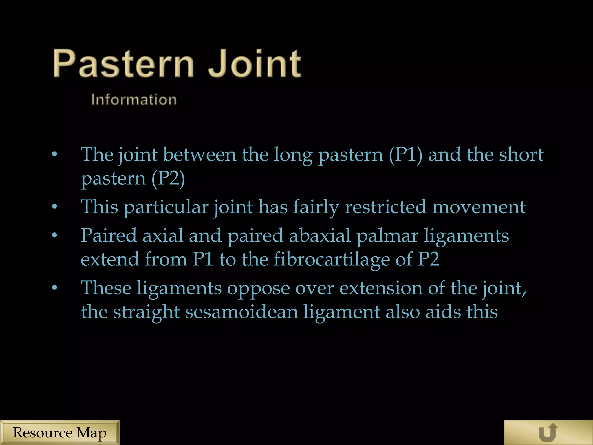•   The joint between the long pastern (P1) and the short
        pastern (P2)
    •   This particular joint has fairly restricted movement
    •   Paired axial and paired abaxial palmar ligaments
        extend from P1 to the fibrocartilage of P2
    •   These ligaments oppose over extension of the joint,
        the straight sesamoidean ligament also aids this




Resource Map
 