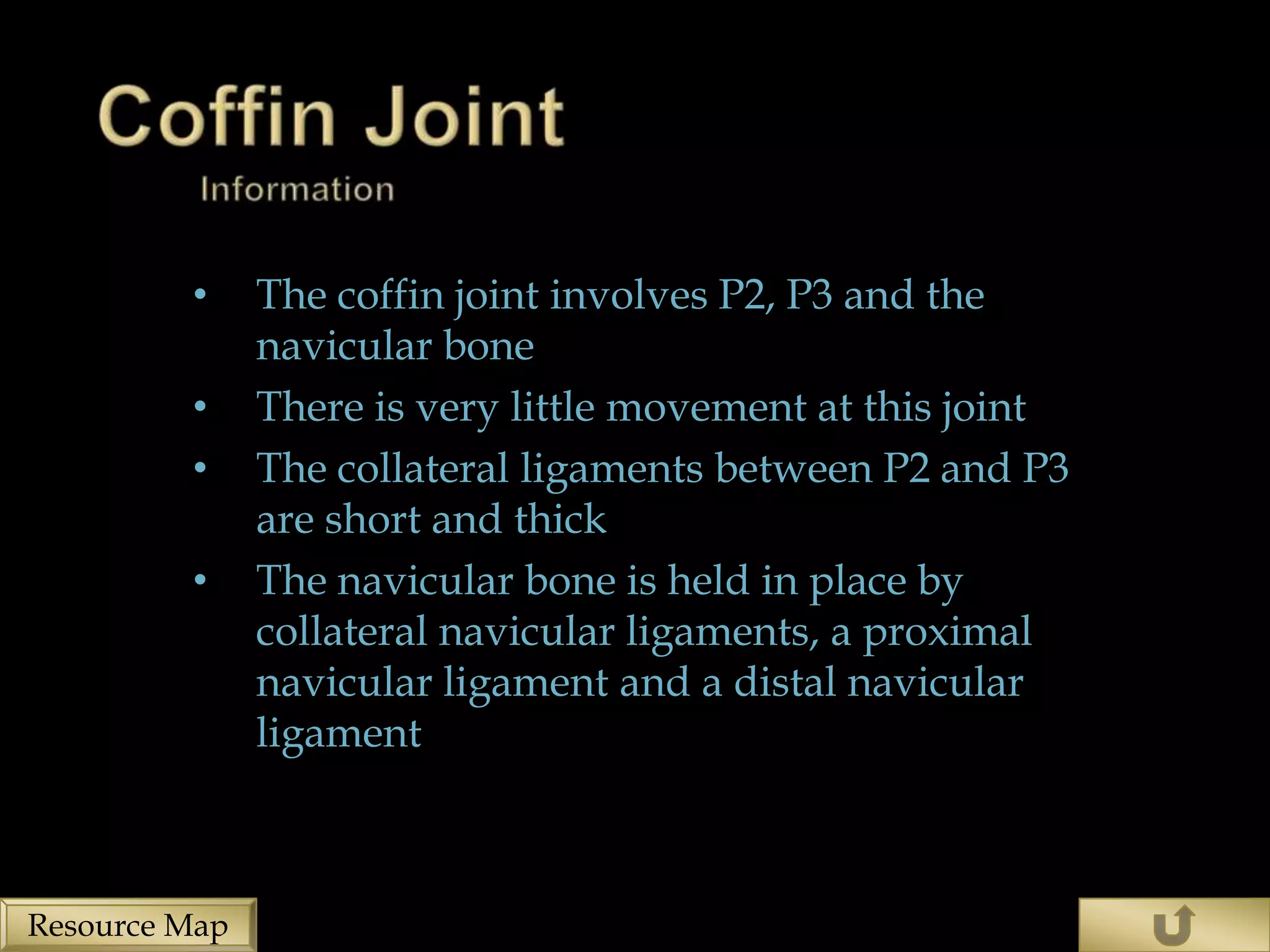 •     The coffin joint involves P2, P3 and the
               navicular bone
         •     There is very little movement at this joint
         •     The collateral ligaments between P2 and P3
               are short and thick
         •     The navicular bone is held in place by
               collateral navicular ligaments, a proximal
               navicular ligament and a distal navicular
               ligament



Resource Map
 