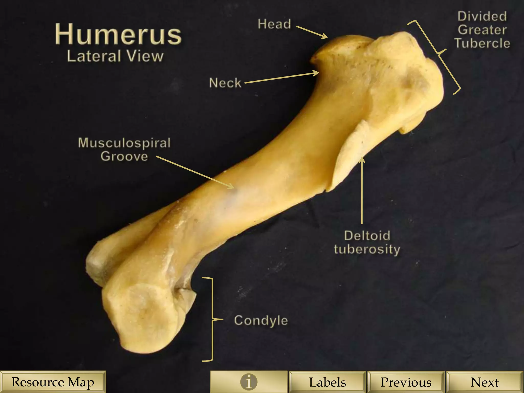 Resource Map   Labels   Previous   Next
 