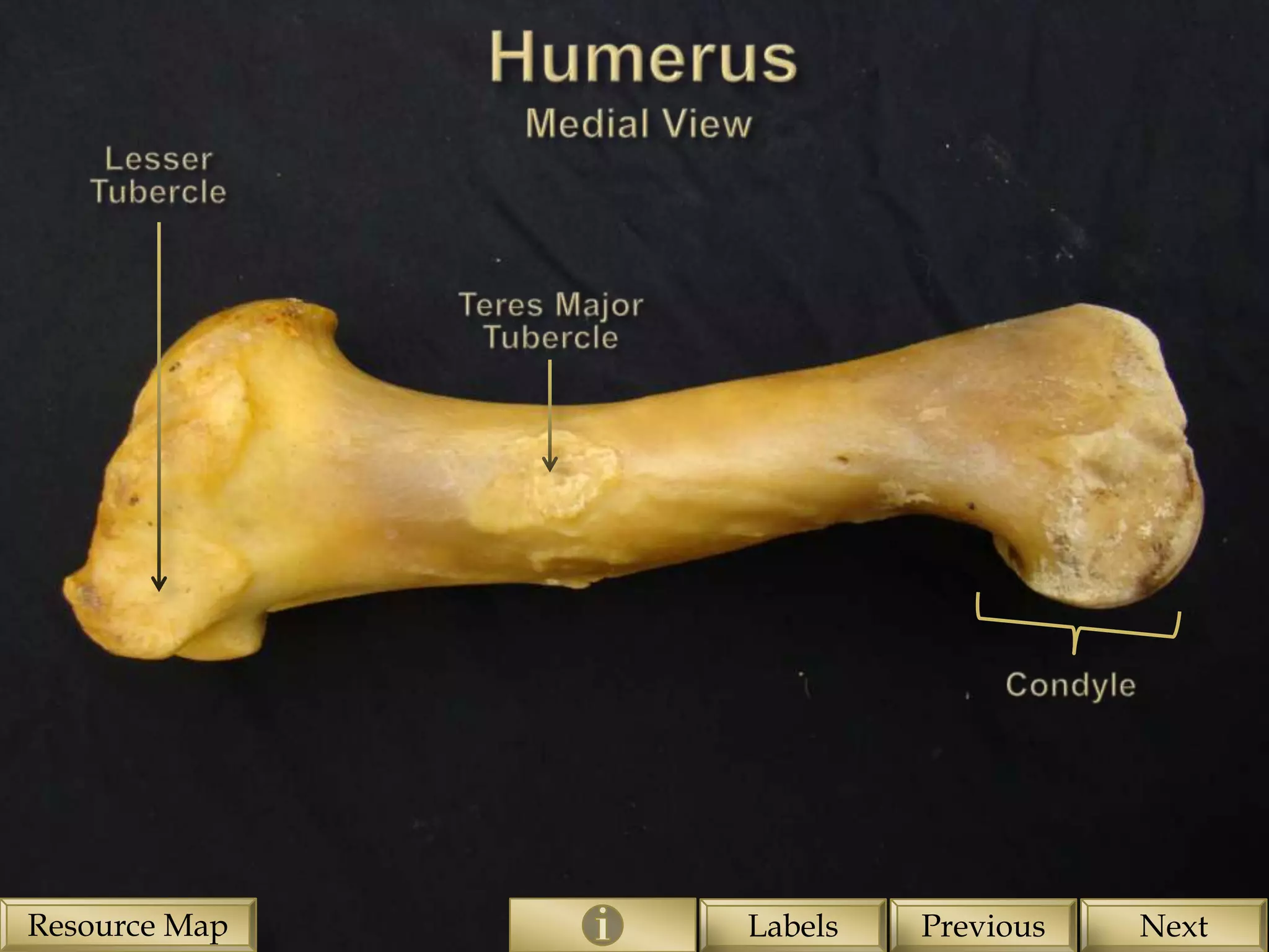 Resource Map   Labels   Previous   Next
 