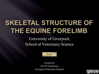 University of Liverpool,
School of Veterinary Science

                Enter


             Created by
          Mr P P Tomlinson
     Liverpool Veterinary Student
 
