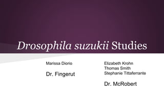 Drosophila suzukii Studies
Marissa Diorio
Dr. Fingerut
Elizabeth Krohn
Thomas Smith
Stephanie Tittaferrante
Dr. McRobert
 