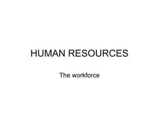 HUMAN RESOURCES The workforce 