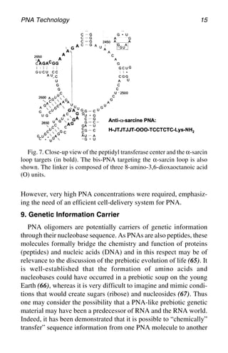 Peptide Nucleic Acids Methods and Protocols 1st Edition Peter E ...
