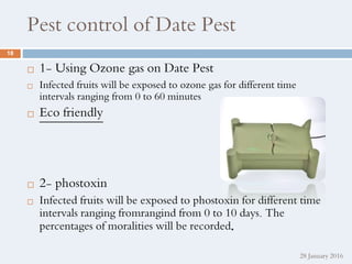 proposal date palm final | PPTX