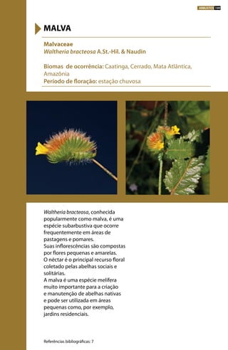 Waltheria bracteosa, conhecida
popularmente como malva, é uma
espécie subarbustiva que ocorre
frequentemente em áreas de
pastagens e pomares.
Suas inflorescências são compostas
por flores pequenas e amarelas.
O néctar é o principal recurso floral
coletado pelas abelhas sociais e
solitárias.
A malva é uma espécie melífera
muito importante para a criação
e manutenção de abelhas nativas
e pode ser utilizada em áreas
pequenas como, por exemplo,
jardins residenciais.
Malvaceae
Waltheria bracteosa A.St.-Hil. & Naudin
Biomas de ocorrência: Caatinga, Cerrado, Mata Atlântica,
Amazônia
Período de floração: estação chuvosa
MALVA
Referências bibliográficas: 7
ARBUSTOS 109
 