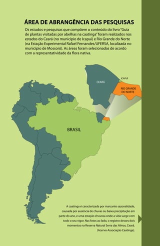ÁREA DE ABRANGÊNCIA DAS PESQUISAS
ICAPUÍ
BRASIL
CEARÁ
RIO GRANDE
DO NORTE
Os estudos e pesquisas que compõem o conteúdo do livro“Guia
de plantas visitadas por abelhas na caatinga”foram realizados nos
estados do Ceará (no município de Icapuí) e Rio Grande do Norte
(na Estação Experimental Rafael Fernandes/UFERSA, localizada no
município de Mossoró). As áreas foram selecionadas de acordo
com a representatividade da flora nativa.
A caatinga é caracterizada por marcante sazonalidade,
causada por ausência de chuvas ou baixa precipitação em
parte do ano, e uma estação chuvosa onde a vida surge com
todo o seu vigor. Nas fotos ao lado, o registro desses dois
momentos na Reserva Natural Serra das Almas, Ceará.
(Acervo Associação Caatinga).
 