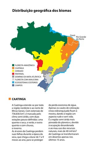 Ceará
Rio Grande
do Norte
CAATINGA
A Caatinga estende-se por toda
a região nordeste e ao norte de
Minas Gerais. Com extensão de
736.836 km2, é marcada pelo
clima semi-árido, com duas
estações pouco definidas: uma
quente e seca, o verão, e outra
quente e com chuvas,
o inverno.
As árvores da Caatinga perdem
suas folhas durante a época da
seca, que chega a durar de 7 a 9
meses ao ano, para se proteger
da perda excessiva de água.
Apenas os caules de coloração
cinza-esbranquiçada ficam à
mostra, dando à região um
aspecto rude e sem vida.
É a região semi-árida mais
povoada do planeta e, devido
à ocupação desordenada
e ao mau uso dos recursos
naturais, mais de 40 mil km2
de Caatinga se transformaram
em desertos apenas nos
últimos 15 anos.
Distribuição geográfica dos biomas
FLORESTA AMAZÔNICA
CAATINGA
CERRADO
PANTANAL
DOMÍNIO DA MATA ATLÂNTICA
FLORESTA COM ARAUCÁRIA
ECOSSISTEMAS COSTEIROS
CAMPOS
 