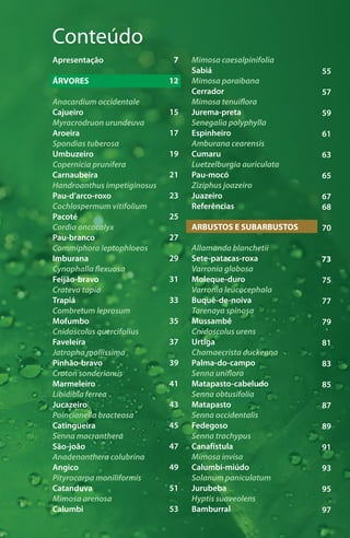 Conteúdo
Apresentação
ÁRVORES
Anacardium occidentale
Cajueiro
Myracrodruon urundeuva
Aroeira
Spondias tuberosa
Umbuzeiro
Copernicia prunifera
Carnaubeira
Handroanthus impetiginosus
Pau-d’arco-roxo
Cochlospermum vitifolium
Pacoté
Cordia oncocalyx
Pau-branco
Commiphora leptophloeos
Imburana
Cynophalla flexuosa
Feijão-bravo
Crateva tapia
Trapiá
Combretum leprosum
Mofumbo
Cnidoscolus quercifolius
Faveleira
Jatropha mollissima
Pinhão-bravo
Croton sonderianus
Marmeleiro
Libidibia ferrea
Jucazeiro
Poincianella bracteosa
Catingueira
Senna macranthera
São-joão
Anadenanthera colubrina
Angico
Pityrocarpa moniliformis
Catanduva
Mimosa arenosa
Calumbi
Mimosa caesalpinifolia
Sabiá
Mimosa paraibana
Cerrador
Mimosa tenuiflora
Jurema-preta
Senegalia polyphylla
Espinheiro
Amburana cearensis
Cumaru
Luetzelburgia auriculata
Pau-mocó
Ziziphus joazeiro
Juazeiro
Referências
ARBUSTOS E SUBARBUSTOS
Allamanda blanchetii
Sete-patacas-roxa
Varronia globosa
Moleque-duro
Varronia leucocephala
Buquê-de-noiva
Tarenaya spinosa
Mussambê
Cnidoscolus urens
Urtiga
Chamaecrista duckeana
Palma-do-campo
Senna uniflora
Matapasto-cabeludo
Senna obtusifolia
Matapasto
Senna occidentalis
Fedegoso
Senna trachypus
Canafístula
Mimosa invisa
Calumbi-miúdo
Solanum paniculatum
Jurubeba
Hyptis suaveolens
Bamburral
7
12
15
17
19
21
23
25
27
29
31
33
35
37
39
41
43
45
47
49
51
53
55
57
59
61
63
65
67
68
70
73
75
77
79
81
83
85
87
89
91
93
95
97
 