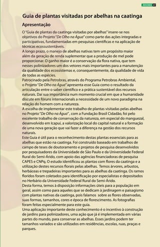Apresentação
Guia de plantas visitadas por abelhas na caatinga
O“Guia de plantas da caatinga visitadas por abelhas”insere-se nos
objetivos do Projeto“De Olho na Água”como parte das ações integradas e
participativas, fundamentadas em pesquisas científicas e na aplicação de
técnicas ecossustentáveis.
A longo prazo, o manejo de abelhas nativas tem um propósito maior
além da geração de renda suplementar que a produção de mel pode
proporcionar. O ganho maior é a conservação da flora nativa, que tem
nesses polinizadores um dos vetores mais importantes para a manutenção
da qualidade dos ecossistemas e, consequentemente, da qualidade de vida
de todas as espécies.
Patrocinado pela Petrobras, através do Programa Petrobras Ambiental,
o Projeto“De Olho na Água”apresenta esse Guia como o resultado da
articulação entre o saber científico e a prática sustentável dos recursos
naturais. Daí sua importância num momento crucial em que a humanidade
discute em fóruns internacionals a necessidade de um novo paradigma na
relação do homem com a natureza.
A escolha de implementar este trabalho de plantas visitadas pelas abelhas
no Projeto“De Olho na Água”, com a Fundação Brasil Cidadão, foi pelo
excelente trabalho de conservação da natureza, em especial do manguezal,
desenvolvido em Icapuí, a valorização local do capital natural e a formação
de uma nova geração que vai fazer a diferença na gestão dos recursos
naturais.
Este Guia é útil para o reconhecimento destas plantas essenciais para as
abelhas que estão na caatinga. Foi construído baseado em trabalhos de
campo de teses de doutoramento e projetos de pesquisa desenvolvidos
por pesquisadores da Universidade de São Paulo e da Universidade Federal
Rural do Semi-Árido, com apoio das agências financiadoras de pesquisa
CAPES e CNPq. O estudo identificou as plantas com flores da caatinga e a
utilização destes recursos florais pelas abelhas. Temos árvores, arbustos,
herbáceas e trepadeiras importantes para as abelhas da caatinga. Os ramos
floridos foram coletados para identificação por especialistas e depositados
no Herbário da Universidade Federal Rural do Semi-Árido.
Desta forma, temos à disposição informações úteis para a população em
geral, assim como para aqueles que se dedicam à jardinagem e paisagismo
com plantas nativas da caatinga, pois falamos sobre as flores observadas,
suas formas, tamanhos, cores e época de florescimento. As fotografias
foram feitas especialmente para este guia.
Uma aplicação importante deste conhecimento é o incentivo à construção
de jardins para polinizadores, uma ação que já é implementada em várias
partes do mundo, para conservar as abelhas. Esses jardins podem ter
tamanhos variados e são utilizados em residências, escolas, ruas, praças e
parques.
ÁRVORES 07
 
