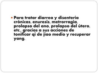  Para tratar diarrea y disentería
crónicas, enuresis, metrorragia,
prolapso del ano, prolapso del útero,
etc., gracias a sus acciones de
tonificar qi de jiao medio y recuperar
yang.
 