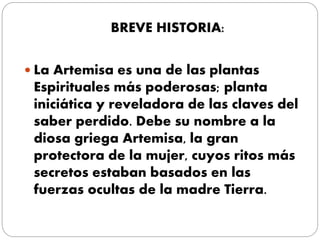 BREVE HISTORIA:
 La Artemisa es una de las plantas
Espirituales más poderosas; planta
iniciática y reveladora de las claves del
saber perdido. Debe su nombre a la
diosa griega Artemisa, la gran
protectora de la mujer, cuyos ritos más
secretos estaban basados en las
fuerzas ocultas de la madre Tierra.
 