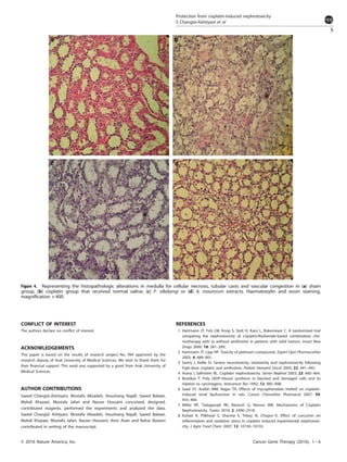 CONFLICT OF INTEREST
The authors declare no conﬂict of interest.
ACKNOWLEDGEMENTS
This paper is based on the results of research project No. 994 approved by the
research deputy of Arak University of Medical Sciences. We wish to thank them for
their ﬁnancial support. This work was supported by a grant from Arak University of
Medical Sciences.
AUTHOR CONTRIBUTIONS
Saeed Changizi-Ashtiyani, Mostafa Alizadeh, Houshang Najaﬁ, Saeed Babaei,
Mahdi Khazaei, Mostafa Jafari and Nasser Hossaini conceived, designed,
contributed reagents, performed the experiments and analyzed the data.
Saeed Changizi Ashtyani, Mostafa Alizadeh, Houshang Najaﬁ, Saeed Babaei,
Mahdi Khazaei, Mostafa Jafari, Nasser Hossaini, Amir Avan and Bahar Bastani
contributed in writing of the manuscript.
REFERENCES
1 Hartmann JT, Fels LM, Knop S, Stolt H, Kanz L, Bokemeyer C. A randomized trial
comparing the nephrotoxicity of cisplatin/ifosfamide-based combination che-
motherapy with or without amifostine in patients with solid tumors. Invest New
Drugs 2000; 18: 281–289.
2 Hartmann JT, Lipp HP. Toxicity of platinum compounds. Expert Opin Pharmacother
2003; 4: 889–901.
3 Sastry J, Kellie SJ. Severe neurotoxicity, ototoxicity and nephrotoxicity following
high-dose cisplatin and amifostine. Pediatr Hematol Oncol 2005; 22: 441–445.
4 Arany I, Saﬁrstein RL. Cisplatin nephrotoxicity. Semin Nephrol 2003; 23: 460–464.
5 Boulikas T. Poly (ADP-ribose) synthesis in blocked and damaged cells and its
relation to carcinogens. Anticancer Res 1992; 12: 885–898.
6 Saad SY, Arafah MM, Najjar TA. Effects of mycophenolate mofetil on cisplatin-
induced renal dysfunction in rats. Cancer Chemother Pharmacol 2007; 59:
455–460.
7 Miller RP, Tadagavadi RK, Ramesh G, Reeves WB. Mechanisms of Cisplatin
Nephrotoxicity. Toxins 2010; 2: 2490–2518.
8 Kuhad A, Pilkhwal S, Sharma S, Tirkey N, Chopra K. Effect of curcumin on
inﬂammation and oxidative stress in cisplatin induced experimental nephrotoxi-
city. J Agric Food Chem 2007; 12: 10150–10155.
Figure 4. Representing the histopathologic alterations in medulla for cellular necrosis, tubular casts and vascular congestion in (a) sham
group, (b) cisplatin group that received normal saline, (c) P. alkekengi or (d) A. maurorum extracts. Haematoxylin and eosin staining,
magniﬁcation × 400.
Protection from cisplatin-induced nephrotoxicity
S Changizi-Ashtiyani et al
5
© 2016 Nature America, Inc. Cancer Gene Therapy (2016), 1 – 6
 