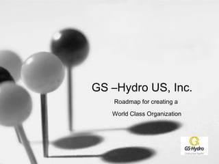 GS –Hydro US, Inc.
Roadmap for creating a
World Class Organization
 