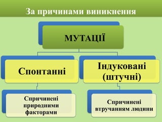 МУТАЦІЇ
Спонтанні
Спричинені
природними
факторами
Індуковані
(штучні)
Спричинені
втручанням людини
За причинами виникнення
 