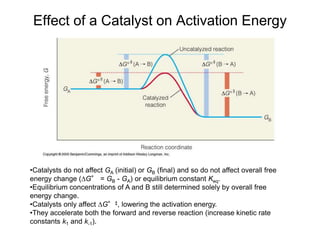 Effect of a Catalyst on Activation Energy
•Catalysts do not affect GA (initial) or GB (final) and so do not affect overall free
energy change (∆G° = GB - GA) or equilibrium constant Keq.
•Equilibrium concentrations of A and B still determined solely by overall free
energy change.
•Catalysts only affect ∆G°‡, lowering the activation energy.
•They accelerate both the forward and reverse reaction (increase kinetic rate
constants k1 and k-1).
 
