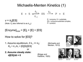 Michaelis-Menten Kinetics (1)
v = k2[ES]
(Note: k2 also referred to as kcat)
[Enzyme]total = [E]t = [E] + [ES]
How to solve for [ES]?
1. Assume equilibrium, if k-1 >> k2:
KS = k-1/k1 = [E][S]/[ES]
or
2. Assume steady state:
d[ES]/dt = 0
(Michaelis and
Menten, 1913)
(Briggs and
Haldane, 1925)
E = enzyme, S = substrate,
ES = enzyme-substrate complex,
P = product
 