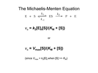 The Michaelis-Menten Equation
vo = k2[E]t[S]/(KM + [S])
or
vo = Vmax[S]/(KM + [S])
(since Vmax = k2[E]t when [S] >> KM)
 