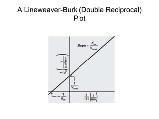 A Lineweaver-Burk (Double Reciprocal)
Plot
 