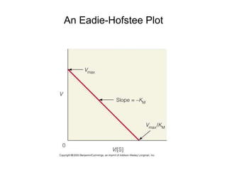 An Eadie-Hofstee Plot
 
