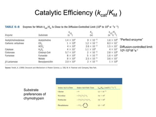 Catalytic Efficiency (kcat/KM )
“Perfect enzyme”
Diffusion-controlled limit:
108-109 M-1s-1
Substrate
preferences of
chymotrypsin
 
