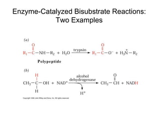 Enzyme-Catalyzed Bisubstrate Reactions:
Two Examples
 