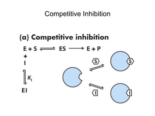 Competitive Inhibition
 