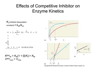 Effects of Competitive Inhibitor on
Enzyme Kinetics
Kapp
M = KM(1 + [I]/KI) > KM
Vapp
max = Vmax
KI (inhibitor dissociation
constant) = koff/kon
 