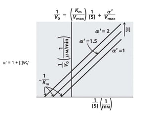 a = 1 + [I]/KI
 