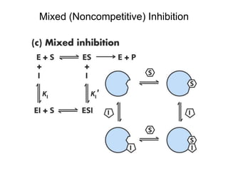 Mixed (Noncompetitive) Inhibition
 