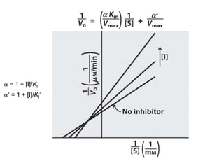 a = 1 + [I]/KI
a = 1 + [I]/KI
 