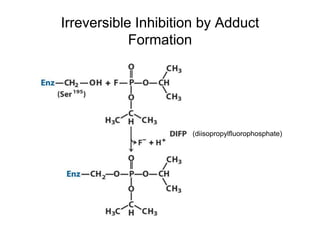 Irreversible Inhibition by Adduct
Formation
(diisopropylfluorophosphate)
 