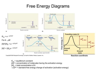Free Energy Diagrams
Keq = e –∆Gº/RT
For A A‡
[A]‡/[A]o = e –∆Gº‡/RT
[A]‡ = [A]o e –∆Gº‡/RT
Keq = equilibrium constant
[A]‡ = concentration of molecules having the activation energy
[A]o = total concentration of A
–∆Gº‡ = standard free energy change of activation (activation energy)


 