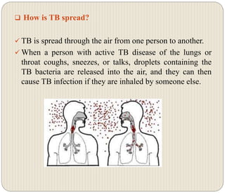  How is TB spread?
 TB is spread through the air from one person to another.
 When a person with active TB disease of the lungs or
throat coughs, sneezes, or talks, droplets containing the
TB bacteria are released into the air, and they can then
cause TB infection if they are inhaled by someone else.
 
