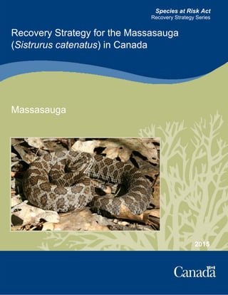 Recovery Strategy for the Massasauga in Canada 2015
i
Species at Risk Act
Recovery Strategy Series
2015
Recovery Strategy for the Massasauga
(Sistrurus catenatus) in Canada
Massasauga
 