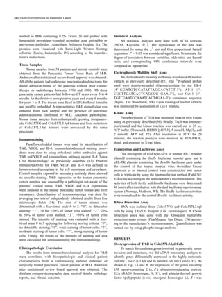 washed in PBS containing 0.2% Tween 20 and probed with
horseradish peroxidase–coupled secondary goat anti-rabbit or
anti-mouse antibodies (Amersham, Arlington Heights, IL). The
proteins were visualized with Lumi-Light Western blotting
substrate (Roche, Indianapolis, IN) according to the manufac-
turer’s instructions.
Tissue Samples
Tissue samples from 54 patients and normal controls were
obtained from the Pancreatic Tumor Tissue Bank of M.D.
Anderson after institutional review board approval was obtained.
All of the patients had undergone pancreaticoduodenectomy for
ductal adenocarcinoma of the pancreas without prior chemo-
therapy or radiotherapy between 1990 and 2000. All these
pancreatic cancer patients had follow-up CT scans every 3 to 4
mouths for the first two postoperative years and every 6 months
for years 3 to 5. The tissues were fixed in 10% buffered formalin
and paraffin embedded. A representative H&E stained slide was
obtained from each sample and the presence of pancreatic
adenocarcinoma confirmed by M.D. Anderson pathologists.
Mouse tissue samples from orthotopically growing intrapancre-
atic Colo357FG and Colo357L3.6pl tumors and liver metastasis
of Colo357L3.6pl tumors were processed by the same
procedure.
Immunostaining
Paraffin-embedded tissues were used for identification of
TrkB, VEGF, and IL-8. Immunohistochemical staining proce-
dures were done by using polyclonal rabbit antibodies against
TrkB and VEGF and a monoclonal antibody against IL-8 (Santa
Cruz Biotechnology) as previously described (33). Positive
immunoreactivity for TrkB, VEGF, and IL-8 was defined as
brown-colored precipitate in the cell membrane and cytoplasm.
Control samples exposed to secondary antibody alone showed
no specific staining. TrkB expression in the human pancreatic
cancer samples was assessed by a pathologist not aware of the
patients’ clinical status. TrkB, VEGF, and IL-8 expressions
were assessed in the mouse pancreatic tumor tissues and liver
metastases. Quantification of immunostainings was done by
averaging two sets of independently obtained results from five
microscopic fields (34). The area of tumor stained was
determined with a four-tiered scale 0 to 3: ‘‘0’’, no detectable
staining; ‘‘1’’, >0 but <20% of tumor cells stained; ‘‘2’’, 20%
to 50% of tumor cells stained; ‘‘3’’, >50% of tumor cells
stained. The intensity of staining was evaluated with a four-
tiered scale 0 to 3 applying the following scoring criteria: ‘‘0’’,
no detectable staining; ‘‘1’’, weak staining of tumor cells; ‘‘2’’,
moderate staining of tumor cells; ‘‘3’’, strong staining of tumor
cells. Finally, the results of the intensity of staining and area
were calculated for semiquantitating the immunostainings.
Clinicopathologic Correlation
The results from immunohistochemical analysis for TrkB
were correlated with histopathologic and clinical patient
characteristics from a continuously updated database of
surgically treated pancreatic cancer patients at M.D. Anderson
after institutional review board approval was obtained. The
database contains demographic data, surgical details, pathology
reports, and clinical outcome.
Statistical Analysis
All statistical analyses were done with NCSS software
(NCSS, Kaysville, UT). The significance of the data was
determined by using the v2
test and Cox proportional hazard
regression. P < 0.05 was considered significant. To estimate the
degree of association between variables, odds ratio, and hazard
ratio, and corresponding 95% confidence intervals were
computed as appropriate.
Electrophoretic Mobility Shift Assay
An electrophoretic mobility shift assay was done with nuclear
extracts as previously described (35). The 32
P-labeled probes
used were double-stranded oligonucleotides for the Elk-1
(5V-GGATGTCCATATTAGGACATCT-3V), AP-1 (5V-
CGCTTGATGACTCAGCCG GAA-3V), and Oct-1 (5V-
TGTCGAATGCAAATCACTAGAA-3V) consensus sequence
(Sigma, The Woodlands, TX). Equal loading of nuclear extracts
was monitored by assessment of Oct-1 binding.
Kinase Assay
Phosphorylation of TrkB was measured in an in vitro kinase
assay as previously described (36). Briefly, TrkB was immuno-
precipitated and the kinase reaction was carried out in 20 AL
ATP buffer (50 mmol/L HEPES [pH 7.5], 5 mmol/L MgCl2, and
2 mmol/L ATP; ref. 37). After incubation at 37jC for 20
minutes, the reaction products were resolved by SDS-PAGE,
dried, and exposed to X-ray films.
Transfection and Luciferase Assay
One microgram of wild type-AP-1 or mutant AP-1 reporter
plasmid containing the firefly luciferase reporter gene and a
pRL-TK plasmid containing the Renilla luciferase gene under
the control of the herpes simplex virus thymidine kinase
promoter as an internal control were cotransfected into tumor
cells in triplicate by using the lipotransfection method (FuGENE
6; Roche) according to the manufacturer’s recommendation. The
activities of both firefly and Renilla luciferase were determined
48 hours after transfection with the dual luciferase reporter assay
system (Promega, Madison, WI). The firefly luciferase activities
were normalized to the control Renilla luciferase activity.
RNase Protection Assay
RNA was isolated from Colo357FG and Colo357L3.6pl
cells by using TRIZOL Reagent (Life Technologies). A RNase
protection assay was done with the Riboquant multiprobe
protection assay system (PharMingen, San Diego, CA) accord-
ing to the manufacturer’s recommendation. Quantification was
carried out by using phospho-image analysis.
RESULTS
Overexpression of TrkB in Colo357L3.6pl Cells
To search for candidate genes involved in pancreatic tumor
invasion and metastasis, we did cDNA microarray analysis to
identify genes differentially expressed in the highly metastatic
cell line Colo357L3.6pl and its parental cell line Colo357FG. As
shown in Fig. 1A and B, the expression of the genes encoding
IAP repeat-containing 2 (a, aV), ubiquitin-conjugating enzyme
E2A (RAD6 homologue; b, bV), and platelet-derived growth
factor-hpolypeptide (v-sis) oncogene homologue (d, dV) was
TrkB Overexpression in Pancreatic Cancer442
 