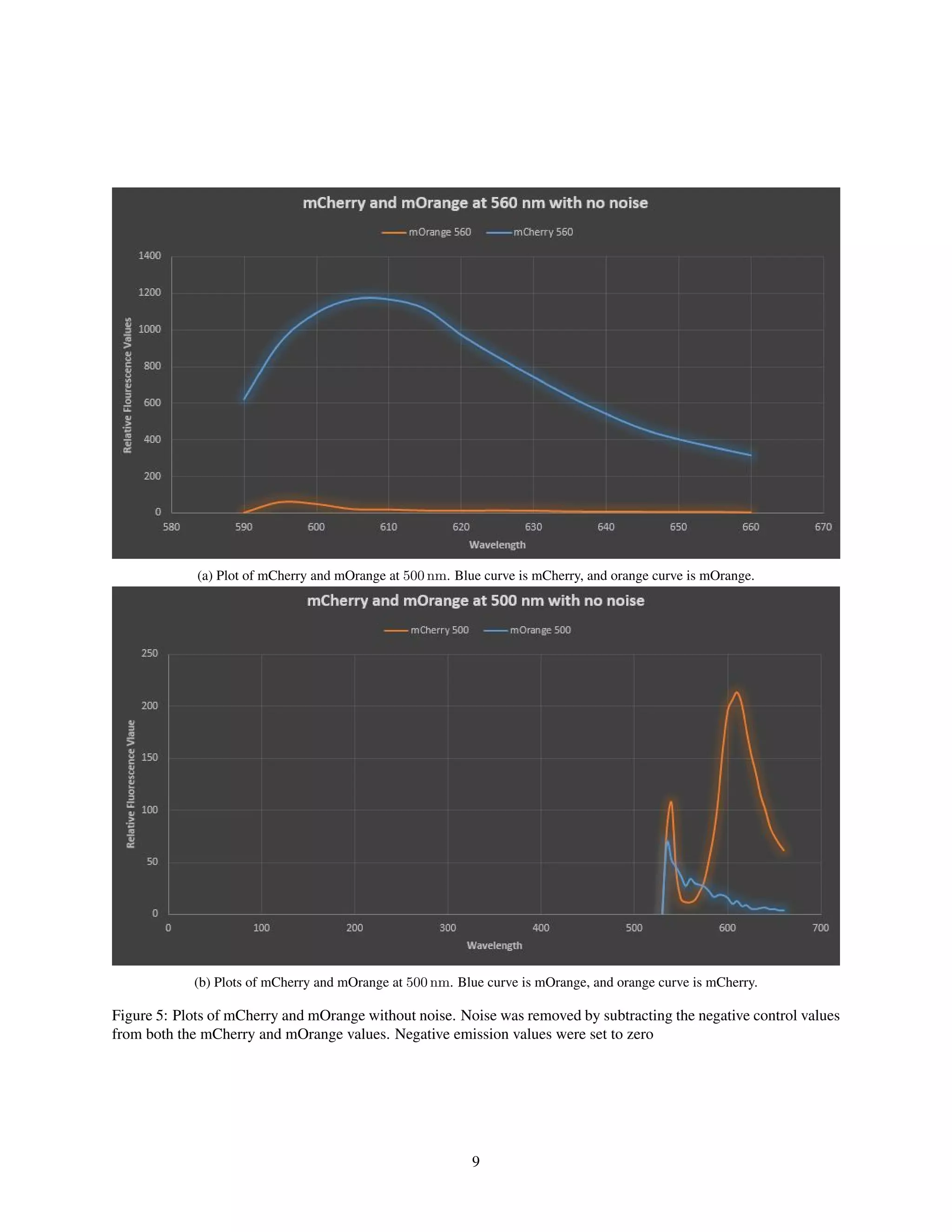 (a) Plot of mCherry and mOrange at 500 nm. Blue curve is mCherry, and orange curve is mOrange.
(b) Plots of mCherry and mOrange at 500 nm. Blue curve is mOrange, and orange curve is mCherry.
Figure 5: Plots of mCherry and mOrange without noise. Noise was removed by subtracting the negative control values
from both the mCherry and mOrange values. Negative emission values were set to zero
9
 