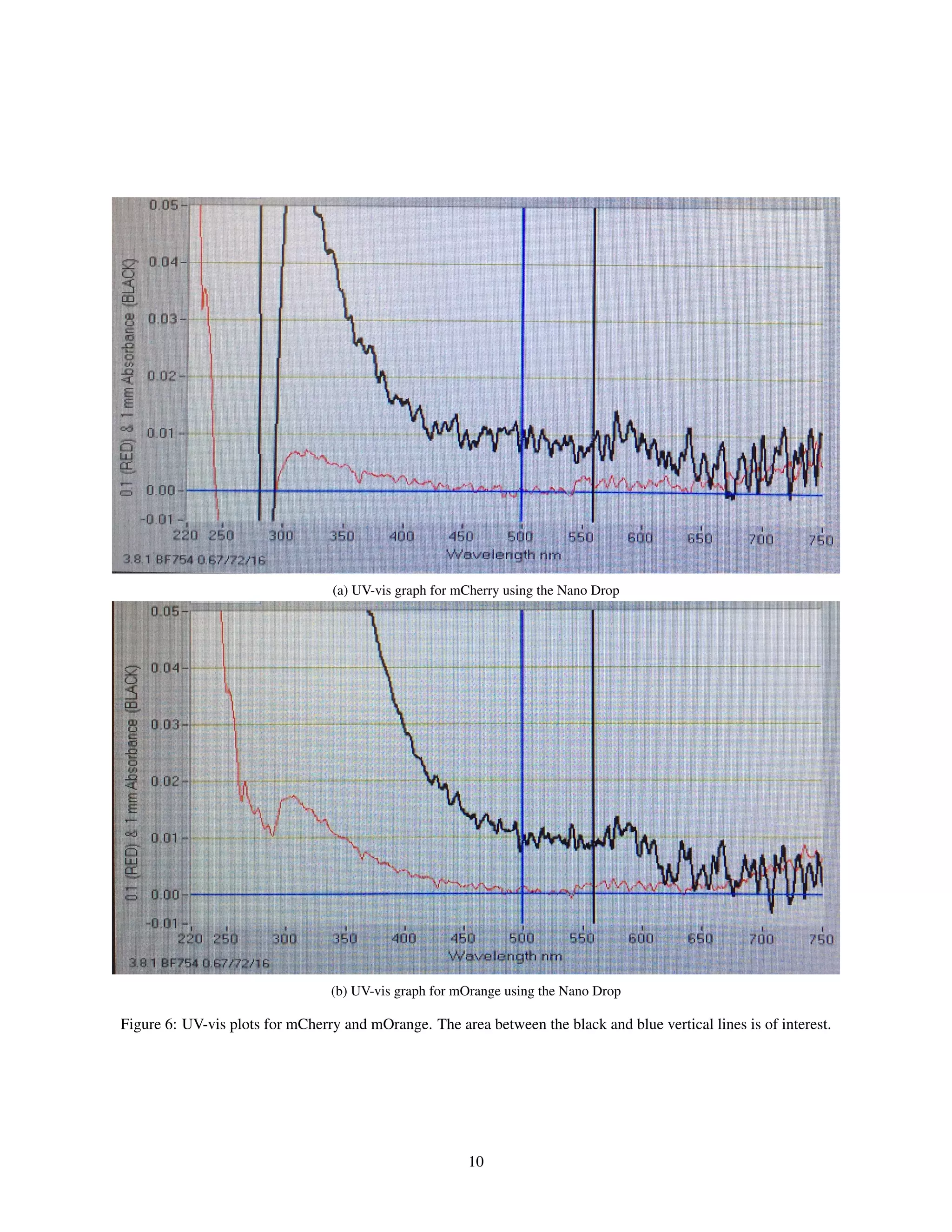 (a) UV-vis graph for mCherry using the Nano Drop
(b) UV-vis graph for mOrange using the Nano Drop
Figure 6: UV-vis plots for mCherry and mOrange. The area between the black and blue vertical lines is of interest.
10
 