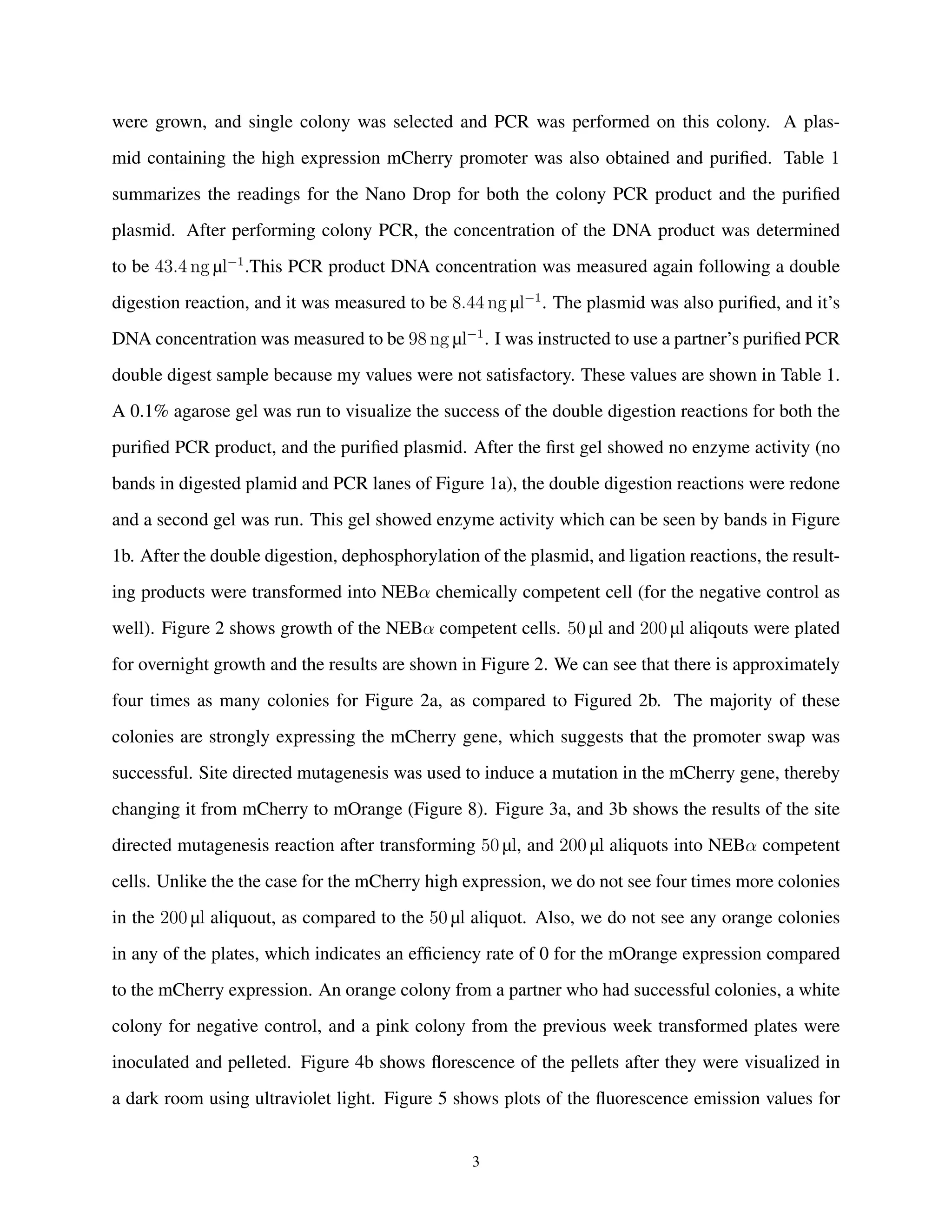 were grown, and single colony was selected and PCR was performed on this colony. A plas-
mid containing the high expression mCherry promoter was also obtained and puriﬁed. Table 1
summarizes the readings for the Nano Drop for both the colony PCR product and the puriﬁed
plasmid. After performing colony PCR, the concentration of the DNA product was determined
to be 43.4 ng µl−1
.This PCR product DNA concentration was measured again following a double
digestion reaction, and it was measured to be 8.44 ng µl−1
. The plasmid was also puriﬁed, and it’s
DNA concentration was measured to be 98 ng µl−1
. I was instructed to use a partner’s puriﬁed PCR
double digest sample because my values were not satisfactory. These values are shown in Table 1.
A 0.1% agarose gel was run to visualize the success of the double digestion reactions for both the
puriﬁed PCR product, and the puriﬁed plasmid. After the ﬁrst gel showed no enzyme activity (no
bands in digested plamid and PCR lanes of Figure 1a), the double digestion reactions were redone
and a second gel was run. This gel showed enzyme activity which can be seen by bands in Figure
1b. After the double digestion, dephosphorylation of the plasmid, and ligation reactions, the result-
ing products were transformed into NEBα chemically competent cell (for the negative control as
well). Figure 2 shows growth of the NEBα competent cells. 50 µl and 200 µl aliqouts were plated
for overnight growth and the results are shown in Figure 2. We can see that there is approximately
four times as many colonies for Figure 2a, as compared to Figured 2b. The majority of these
colonies are strongly expressing the mCherry gene, which suggests that the promoter swap was
successful. Site directed mutagenesis was used to induce a mutation in the mCherry gene, thereby
changing it from mCherry to mOrange (Figure 8). Figure 3a, and 3b shows the results of the site
directed mutagenesis reaction after transforming 50 µl, and 200 µl aliquots into NEBα competent
cells. Unlike the the case for the mCherry high expression, we do not see four times more colonies
in the 200 µl aliquout, as compared to the 50 µl aliquot. Also, we do not see any orange colonies
in any of the plates, which indicates an efﬁciency rate of 0 for the mOrange expression compared
to the mCherry expression. An orange colony from a partner who had successful colonies, a white
colony for negative control, and a pink colony from the previous week transformed plates were
inoculated and pelleted. Figure 4b shows ﬂorescence of the pellets after they were visualized in
a dark room using ultraviolet light. Figure 5 shows plots of the ﬂuorescence emission values for
3
 