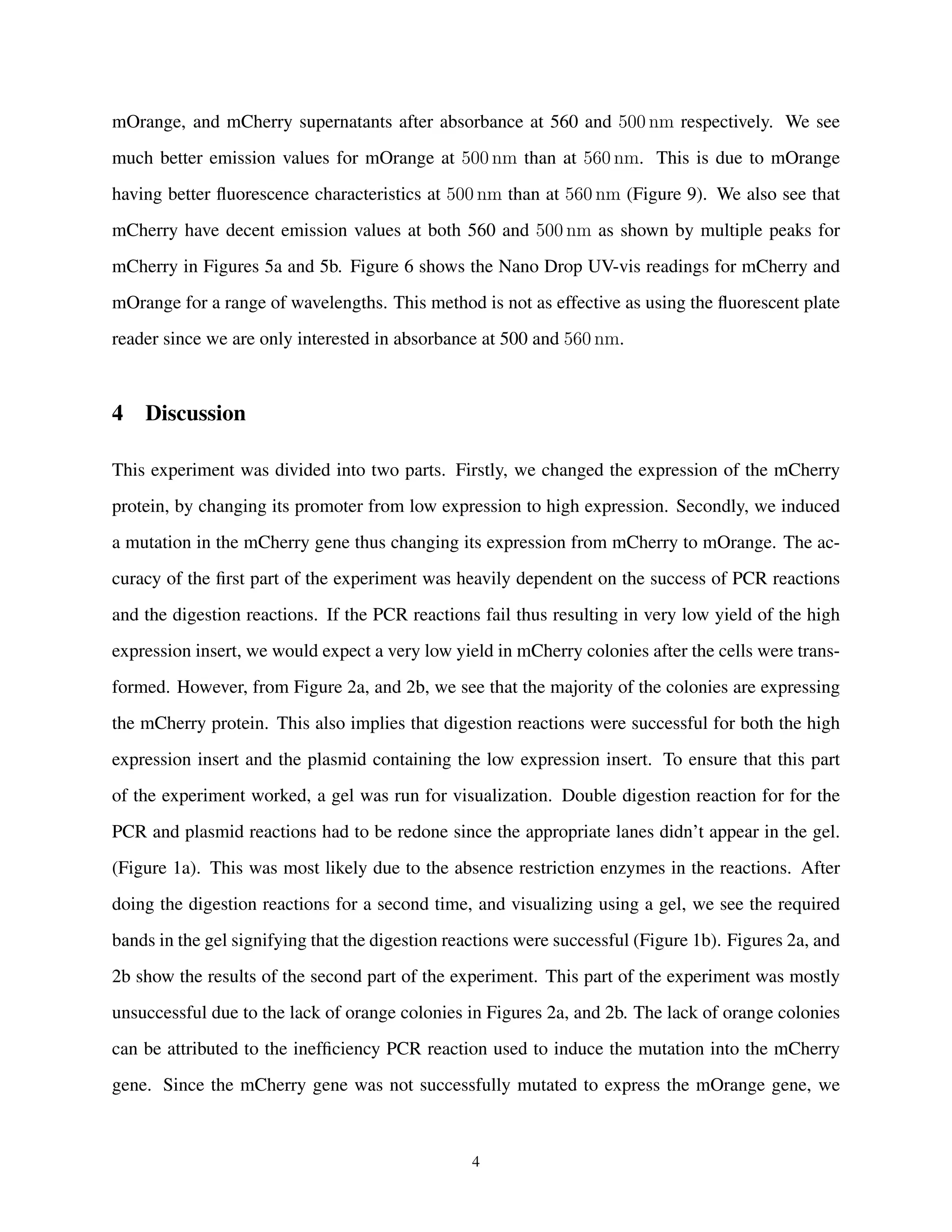 mOrange, and mCherry supernatants after absorbance at 560 and 500 nm respectively. We see
much better emission values for mOrange at 500 nm than at 560 nm. This is due to mOrange
having better ﬂuorescence characteristics at 500 nm than at 560 nm (Figure 9). We also see that
mCherry have decent emission values at both 560 and 500 nm as shown by multiple peaks for
mCherry in Figures 5a and 5b. Figure 6 shows the Nano Drop UV-vis readings for mCherry and
mOrange for a range of wavelengths. This method is not as effective as using the ﬂuorescent plate
reader since we are only interested in absorbance at 500 and 560 nm.
4 Discussion
This experiment was divided into two parts. Firstly, we changed the expression of the mCherry
protein, by changing its promoter from low expression to high expression. Secondly, we induced
a mutation in the mCherry gene thus changing its expression from mCherry to mOrange. The ac-
curacy of the ﬁrst part of the experiment was heavily dependent on the success of PCR reactions
and the digestion reactions. If the PCR reactions fail thus resulting in very low yield of the high
expression insert, we would expect a very low yield in mCherry colonies after the cells were trans-
formed. However, from Figure 2a, and 2b, we see that the majority of the colonies are expressing
the mCherry protein. This also implies that digestion reactions were successful for both the high
expression insert and the plasmid containing the low expression insert. To ensure that this part
of the experiment worked, a gel was run for visualization. Double digestion reaction for for the
PCR and plasmid reactions had to be redone since the appropriate lanes didn’t appear in the gel.
(Figure 1a). This was most likely due to the absence restriction enzymes in the reactions. After
doing the digestion reactions for a second time, and visualizing using a gel, we see the required
bands in the gel signifying that the digestion reactions were successful (Figure 1b). Figures 2a, and
2b show the results of the second part of the experiment. This part of the experiment was mostly
unsuccessful due to the lack of orange colonies in Figures 2a, and 2b. The lack of orange colonies
can be attributed to the inefﬁciency PCR reaction used to induce the mutation into the mCherry
gene. Since the mCherry gene was not successfully mutated to express the mOrange gene, we
4
 