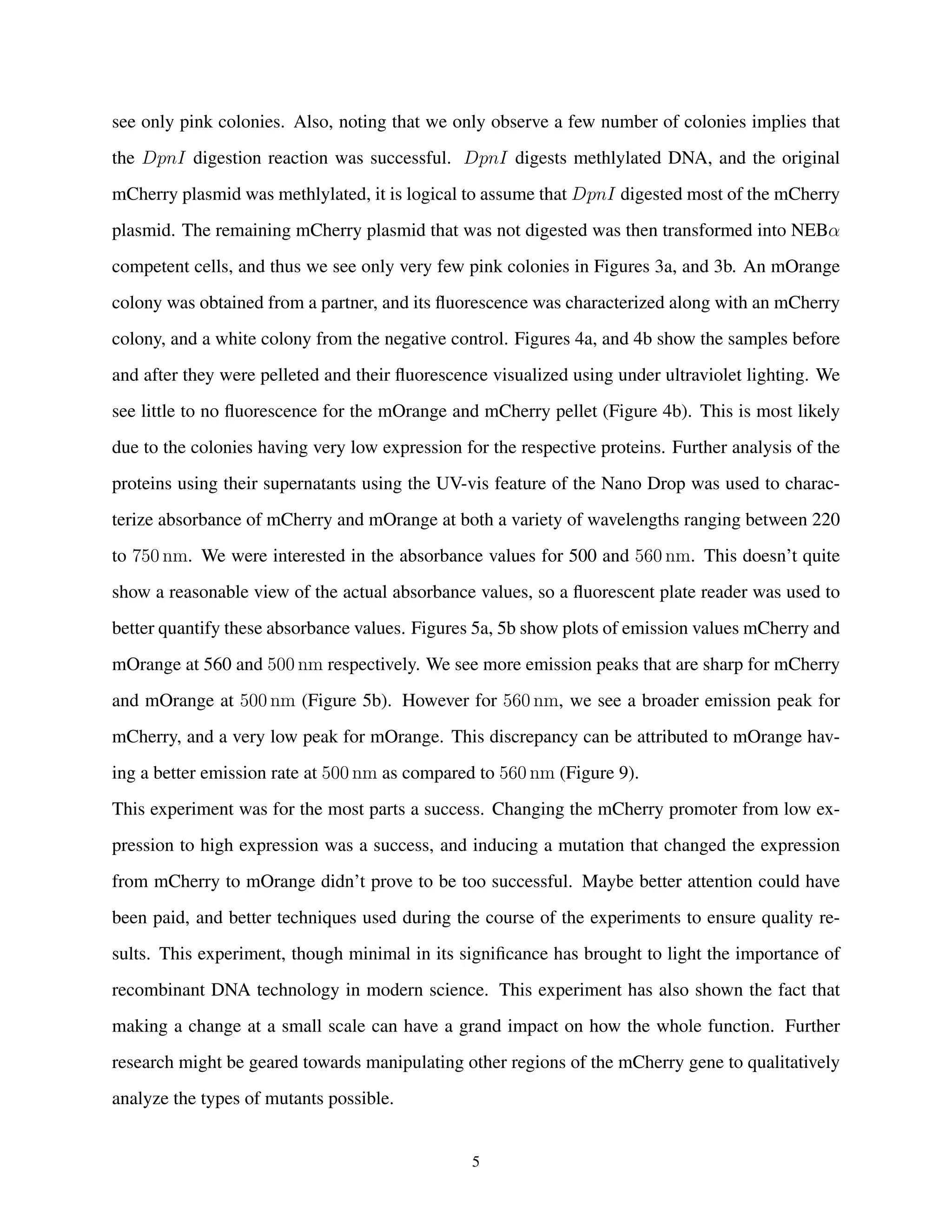 see only pink colonies. Also, noting that we only observe a few number of colonies implies that
the DpnI digestion reaction was successful. DpnI digests methlylated DNA, and the original
mCherry plasmid was methlylated, it is logical to assume that DpnI digested most of the mCherry
plasmid. The remaining mCherry plasmid that was not digested was then transformed into NEBα
competent cells, and thus we see only very few pink colonies in Figures 3a, and 3b. An mOrange
colony was obtained from a partner, and its ﬂuorescence was characterized along with an mCherry
colony, and a white colony from the negative control. Figures 4a, and 4b show the samples before
and after they were pelleted and their ﬂuorescence visualized using under ultraviolet lighting. We
see little to no ﬂuorescence for the mOrange and mCherry pellet (Figure 4b). This is most likely
due to the colonies having very low expression for the respective proteins. Further analysis of the
proteins using their supernatants using the UV-vis feature of the Nano Drop was used to charac-
terize absorbance of mCherry and mOrange at both a variety of wavelengths ranging between 220
to 750 nm. We were interested in the absorbance values for 500 and 560 nm. This doesn’t quite
show a reasonable view of the actual absorbance values, so a ﬂuorescent plate reader was used to
better quantify these absorbance values. Figures 5a, 5b show plots of emission values mCherry and
mOrange at 560 and 500 nm respectively. We see more emission peaks that are sharp for mCherry
and mOrange at 500 nm (Figure 5b). However for 560 nm, we see a broader emission peak for
mCherry, and a very low peak for mOrange. This discrepancy can be attributed to mOrange hav-
ing a better emission rate at 500 nm as compared to 560 nm (Figure 9).
This experiment was for the most parts a success. Changing the mCherry promoter from low ex-
pression to high expression was a success, and inducing a mutation that changed the expression
from mCherry to mOrange didn’t prove to be too successful. Maybe better attention could have
been paid, and better techniques used during the course of the experiments to ensure quality re-
sults. This experiment, though minimal in its signiﬁcance has brought to light the importance of
recombinant DNA technology in modern science. This experiment has also shown the fact that
making a change at a small scale can have a grand impact on how the whole function. Further
research might be geared towards manipulating other regions of the mCherry gene to qualitatively
analyze the types of mutants possible.
5
 
