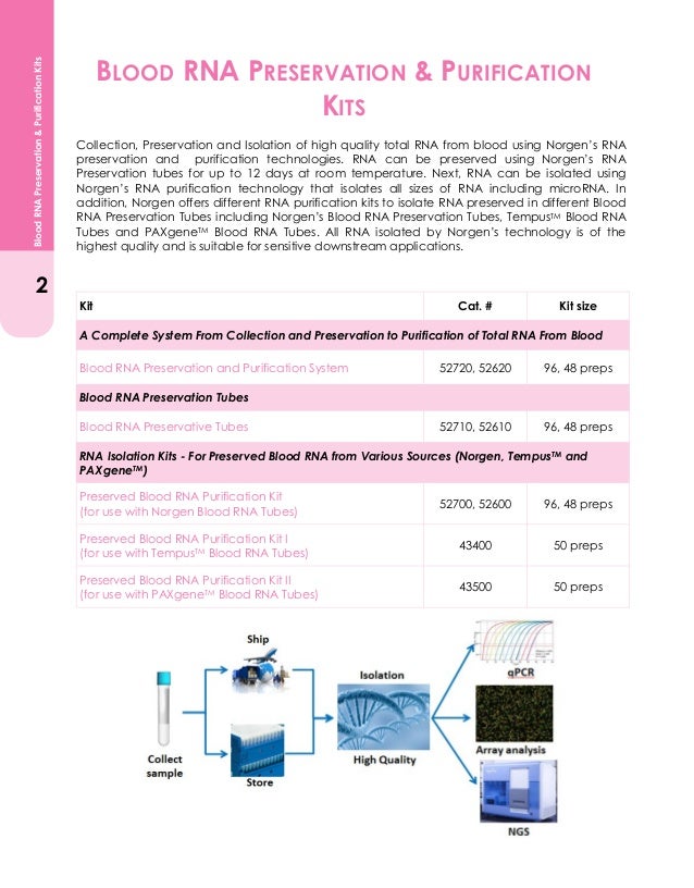 Blood RNA Preservation (8 pages)