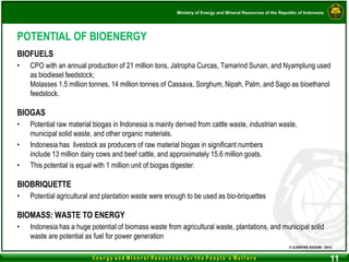MSW BIOMASS - INDONESIA BIO ENERGY PROGRAMME | PDF