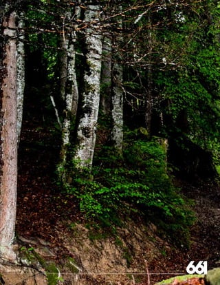 208 AVENIDA FABRICANTE, SAN CLEMENTE, CA 92672 • (858) 485-1089 • SIXSIXONE.COM
 