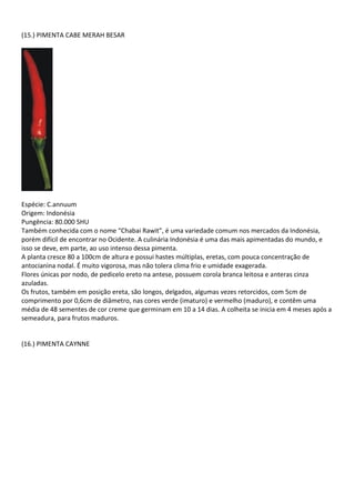 (15.) PIMENTA CABE MERAH BESAR
Espécie: C.annuum
Origem: Indonésia
Pungência: 80.000 SHU
Também conhecida com o nome “Chabai Rawit”, é uma variedade comum nos mercados da Indonésia,
porém difícil de encontrar no Ocidente. A culinária Indonésia é uma das mais apimentadas do mundo, e
isso se deve, em parte, ao uso intenso dessa pimenta.
A planta cresce 80 a 100cm de altura e possui hastes múltiplas, eretas, com pouca concentração de
antocianina nodal. É muito vigorosa, mas não tolera clima frio e umidade exagerada.
Flores únicas por nodo, de pedicelo ereto na antese, possuem corola branca leitosa e anteras cinza
azuladas.
Os frutos, também em posição ereta, são longos, delgados, algumas vezes retorcidos, com 5cm de
comprimento por 0,6cm de diâmetro, nas cores verde (imaturo) e vermelho (maduro), e contêm uma
média de 48 sementes de cor creme que germinam em 10 a 14 dias. A colheita se inicia em 4 meses após a
semeadura, para frutos maduros.
(16.) PIMENTA CAYNNE
 